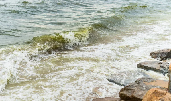 Sea wave with beach, Algal bloom in sea — Stock Photo, Image