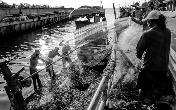 Grupo de pescadores peixe claro da rede — Fotografia de Stock