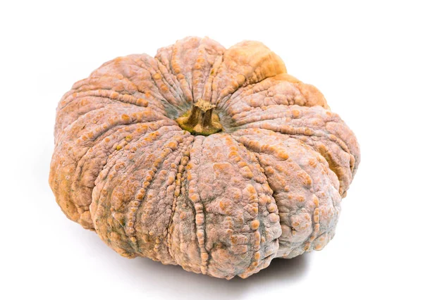 Pumpkin isolated on white background — Stock Photo, Image