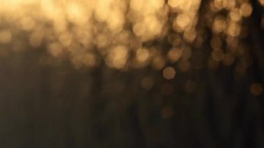 Soyut parlak ışık bokeh hareketi, su yüzeyinde günbatımı ışık yansıması
