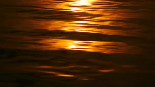 Bonito atardecer reflejado en olas marinas — Vídeo de stock