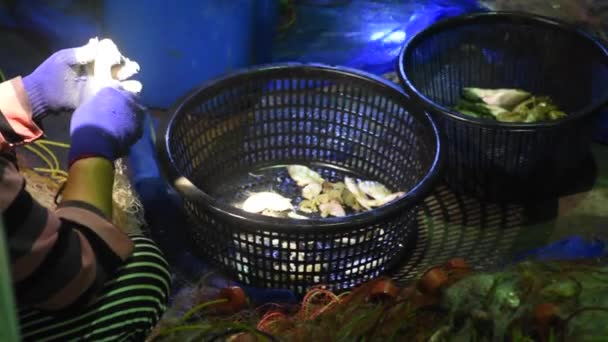 Pescador liberar pescado de la red — Vídeos de Stock