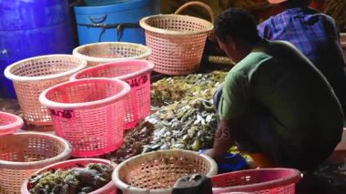 Balıkçı boyutlandırma balık sepetine üzerinde 26 Haziran 2017 yılında Sriracha, Chonburi, Tayland, Thailand
