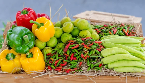 Group of chilli and lime — Stock Photo, Image