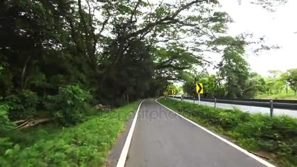 Pruhu pro cyklisty mezi silnicí a les, Pov a ruční šanci — Stock video