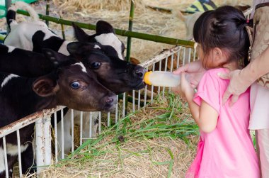Kız bebek inek sütü ile beslenme 