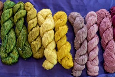 Renkli Tay İpek iplik ve ipekböceği koza yuva