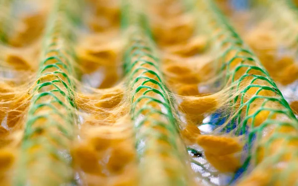 Processo de produção de seda, casulo de bicho-da-seda — Fotografia de Stock