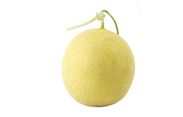 Galia melon frukt isolerad på vit — Stockfoto