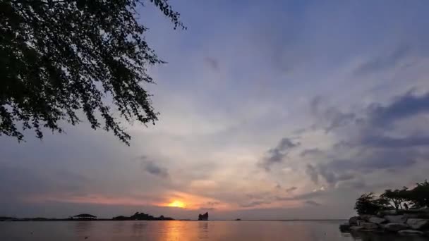 Felhők mozgás napnyugtakor ég a tengeren sziluettje fa előtérben, 4 k idő telik el — Stock videók