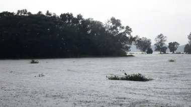 Ağaç Adası arka plan ile gölde yağmur, el vurdu