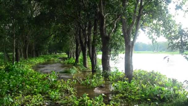 Inundación en la carretera con lluvia de tiro de mano — Vídeos de Stock