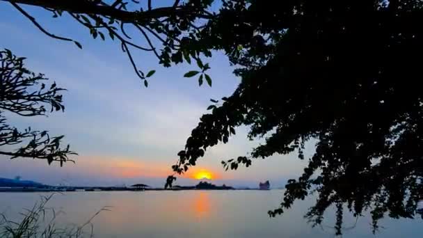 Zeitraffer des Sonnenuntergangs Himmel auf See mit Baumsilhouette im Vordergrund — Stockvideo