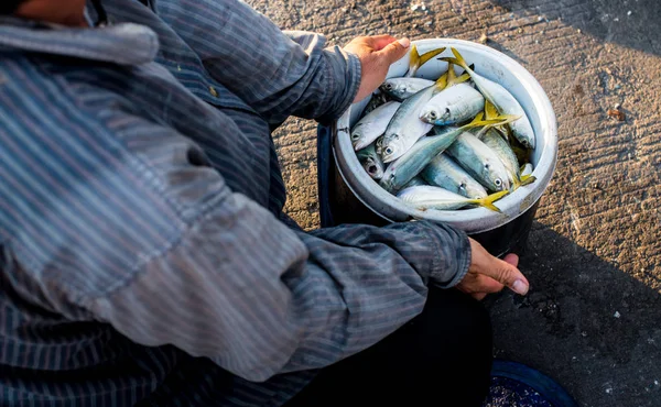 Fisheraman a rybami v kbelíku — Stock fotografie