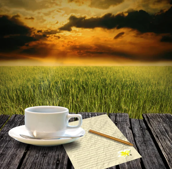 朝の時間で稲作でホット コーヒーを飲む — ストック写真