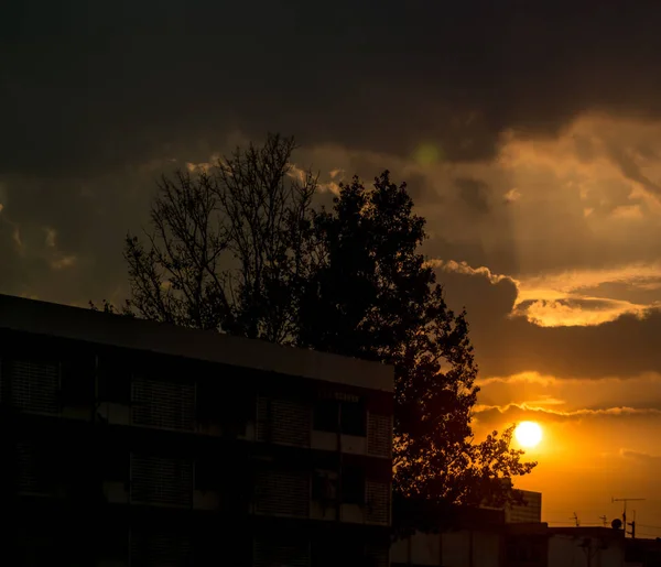 木と建物のシルエット前景の夕日 — ストック写真