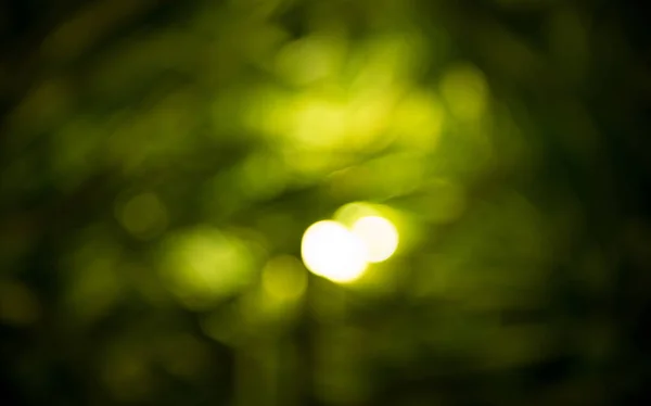 Güzel yeşil bokeh ışık, arka plan — Stok fotoğraf