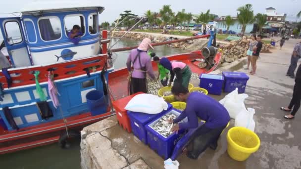 Pescador que embala peixes de barco de pescador para tanque de gelo — Vídeo de Stock