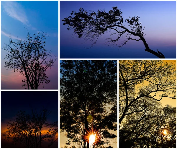 Nuvens agradáveis no céu, Natureza fundo — Fotografia de Stock