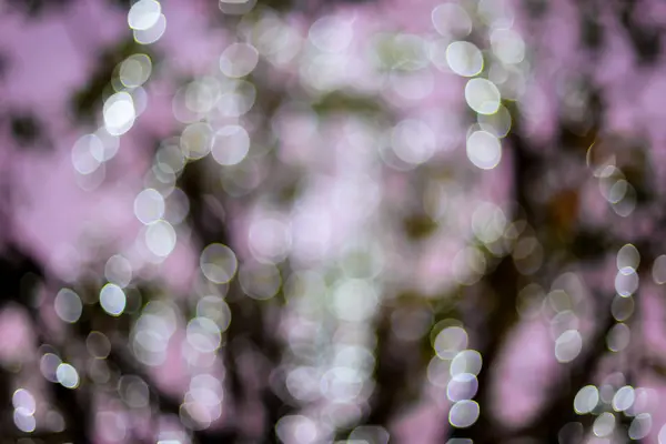 Güzel bokeh açık renkli — Stok fotoğraf