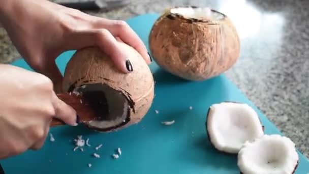 Kokosraspel in der Hand — Stockvideo
