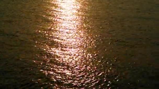 Tramonto riflessione della luce sulla superficie del mare — Video Stock