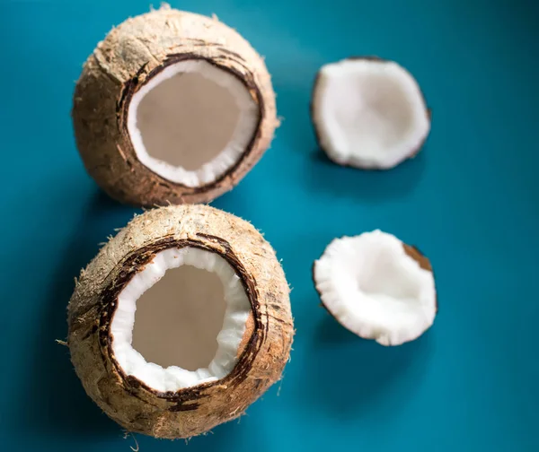 Cocco su sfondo di colore blu — Foto Stock