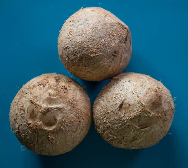 Coconut on blue color background — Stock Photo, Image