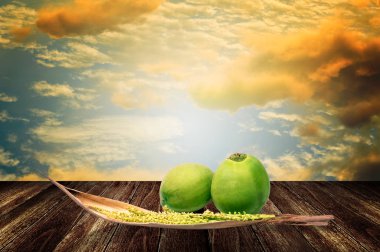 Spadix, Hindistan cevizi çiçek gündoğumu arka plan ile güvertede