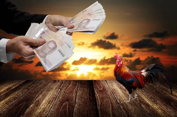 Homme d'affaires acheter poulet avec le lever du soleil fond — Photo