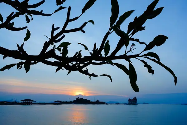 Cielo del atardecer con silueta de isla y rama de árbol en primer plano — Foto de Stock