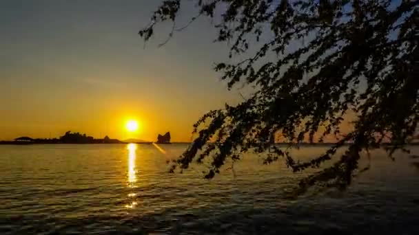 Время Захода Солнца Островах Морем Силуэтом Дерева Переднем Плане Zoom — стоковое видео