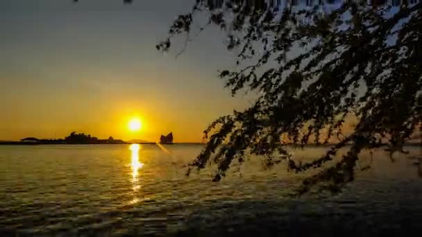 海と木の前景のシルエット島で夕日夕暮れの時間の経過 — ストック動画