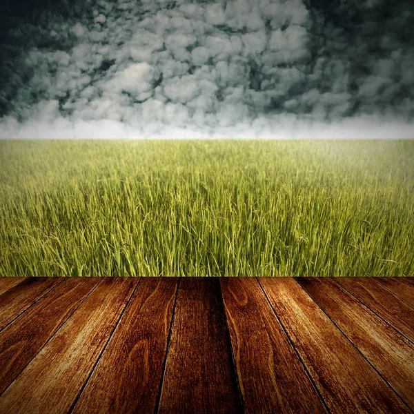 Ryżowe pole z drewnianym tarasem pierwszy plan, tło wiejski — Zdjęcie stockowe