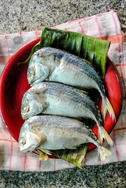 Makreel vissen in rode schotel voor koken — Stockfoto