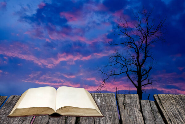 Open book on wooden table with silhouette of dried tree with twi