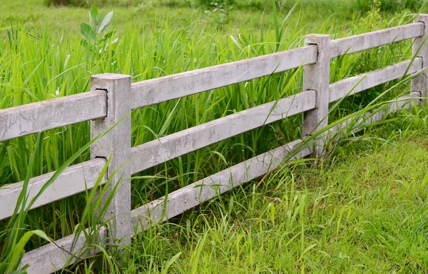 Betong staket på fältet med grönt gräs bakgrund — Stockfoto