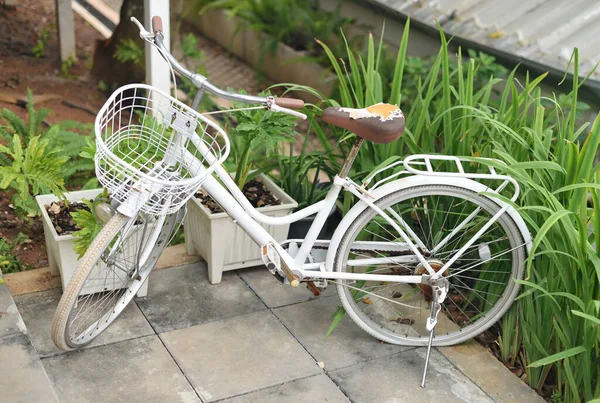 Estacionamento de bicicleta branca velha no jardim — Fotografia de Stock