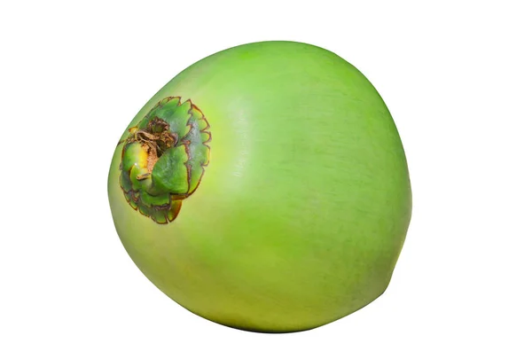 Grüne Kokosnuss Früchte Isoliert Auf Weißem Hintergrund — Stockfoto