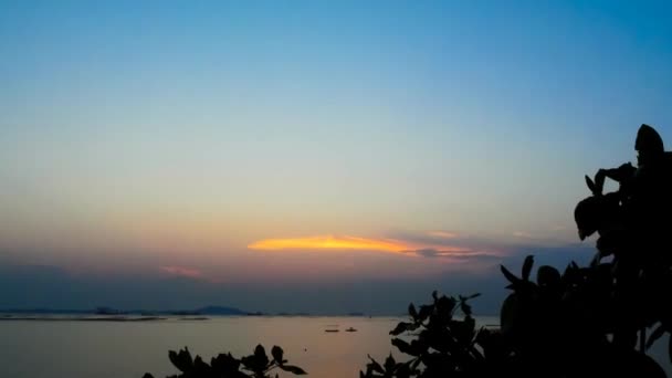 Zeitraffer Des Dämmrigen Himmels Auf See Mit Baumkronensilhouette Vordergrund — Stockvideo