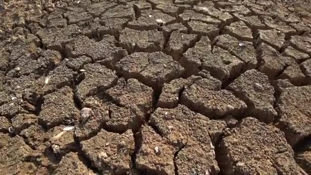 Fondo Tierra Sequía Panning Shot — Vídeo de stock