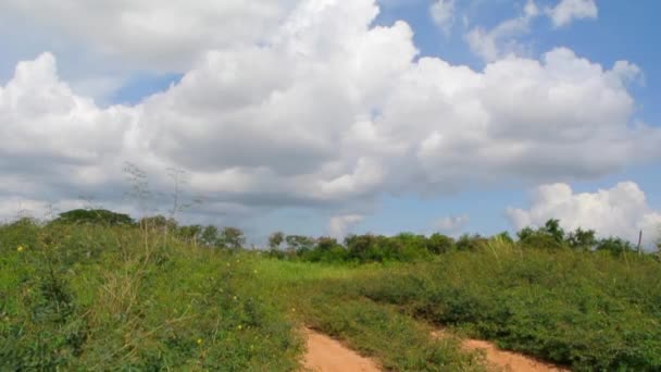 Route de campagne avec nuages dans le ciel bleu et fond de champ vert — Video