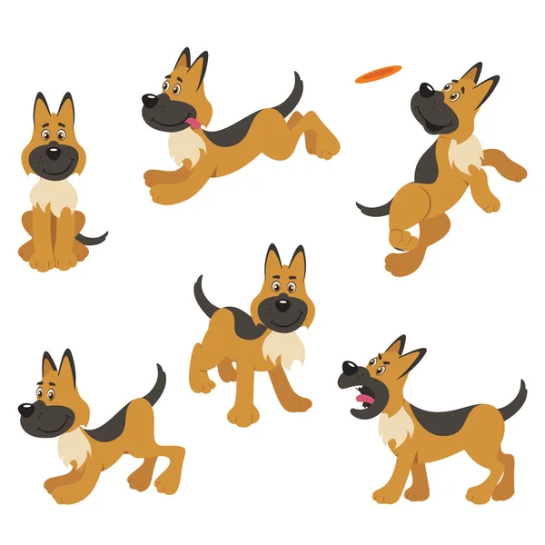 German Shepherd Puppy Dog Poses — Stock Vector