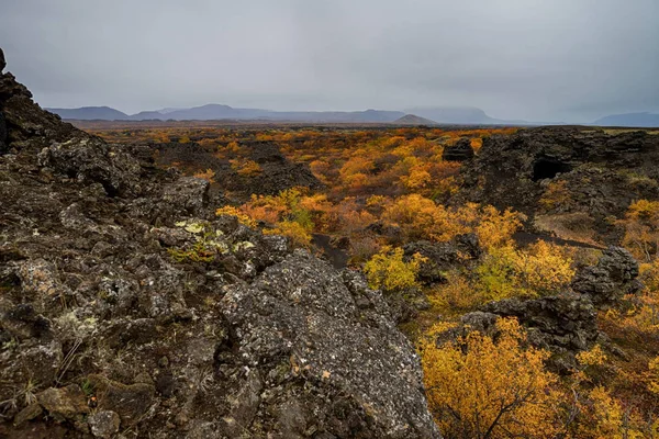 Obszar wulkaniczny Dimmuborgir w Islandii — Zdjęcie stockowe
