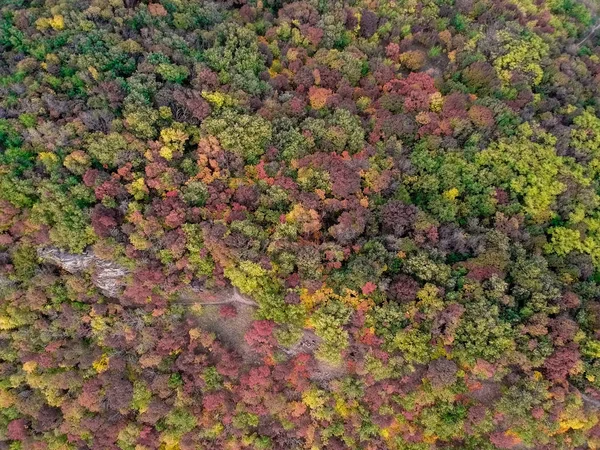 Cores de outono de cima — Fotografia de Stock