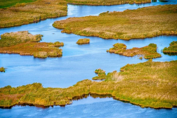 湖の上のカラフルなリード — ストック写真