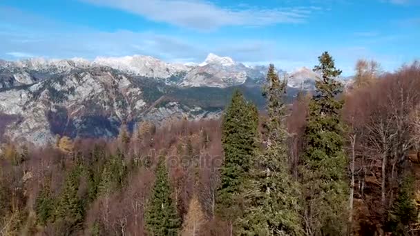 Ιουλιανές Άλπεις σε Εθνικό Πάρκο Triglav στη Σλοβενία — Αρχείο Βίντεο