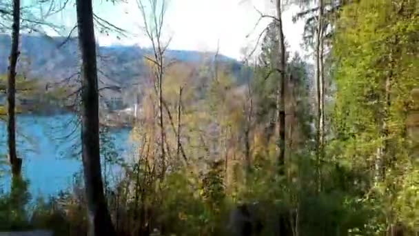 Lake Bled ve Slovenya kilisede — Stok video