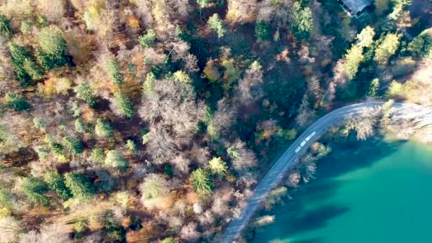 Letecký pohled na les na podzim — Stock video