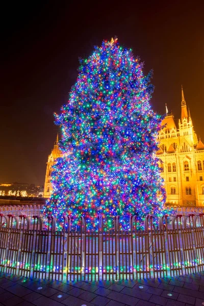 Μεγάλο χριστουγεννιάτικο δέντρο και έλκηθρα — Φωτογραφία Αρχείου